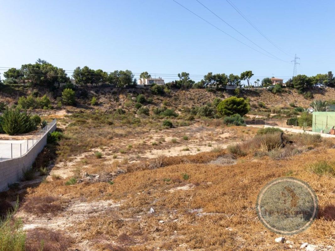 Terreno en venta en Elche / Elx, Alicante photo 5