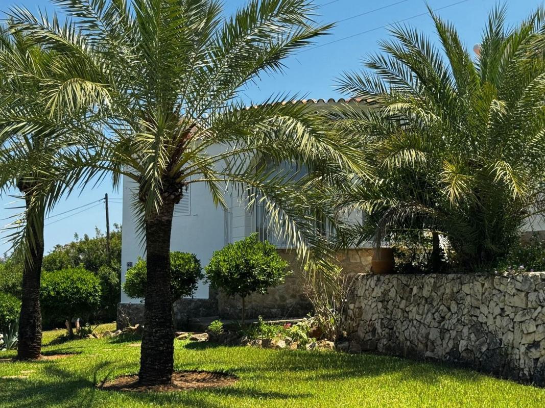 Properties for sale and rent in Spain photo 4