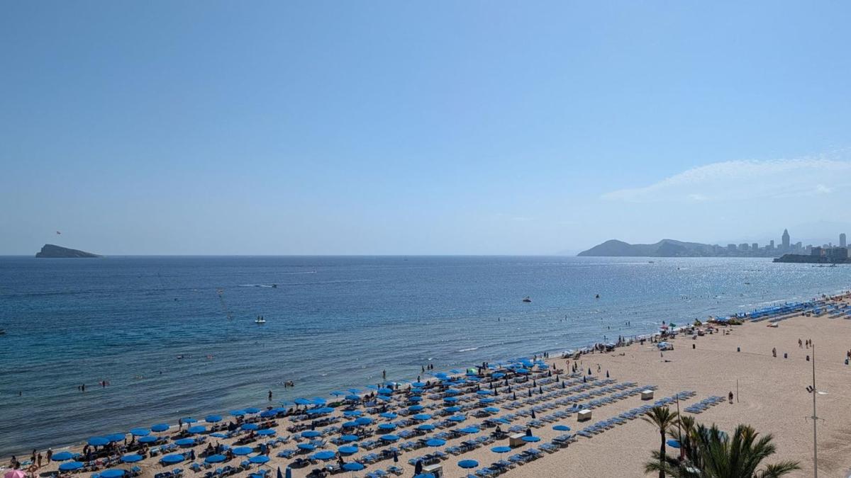Sale of apartment in Piso en Playa de Levante, Benidorm, Benidorm
photo 1