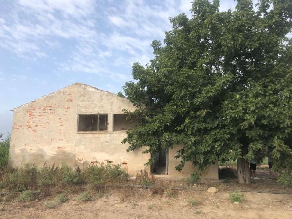 Finca rústica en venta en Finca rústica en Barrio Palmeral Muñosa, Callosa de Segura , Callosa de Segura photo 1