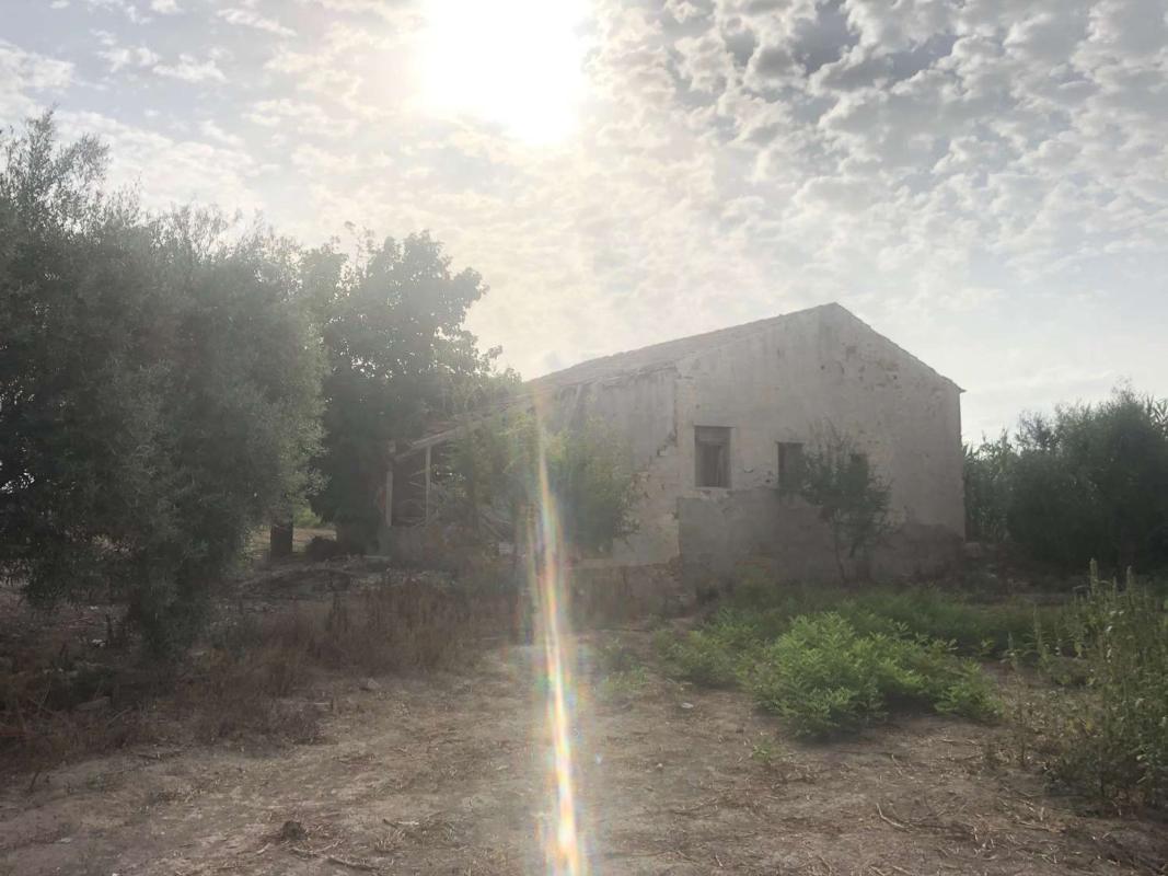 Venta de finca rústica en Finca rústica en Barrio Palmeral Muñosa, Callosa de Segura , Callosa de Segura photo 2