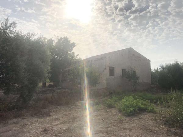 Finca rústica en venta en Finca rústica en Barrio Palmeral Muñosa, Callosa de Segura , Callosa de Segura thumbnail 1