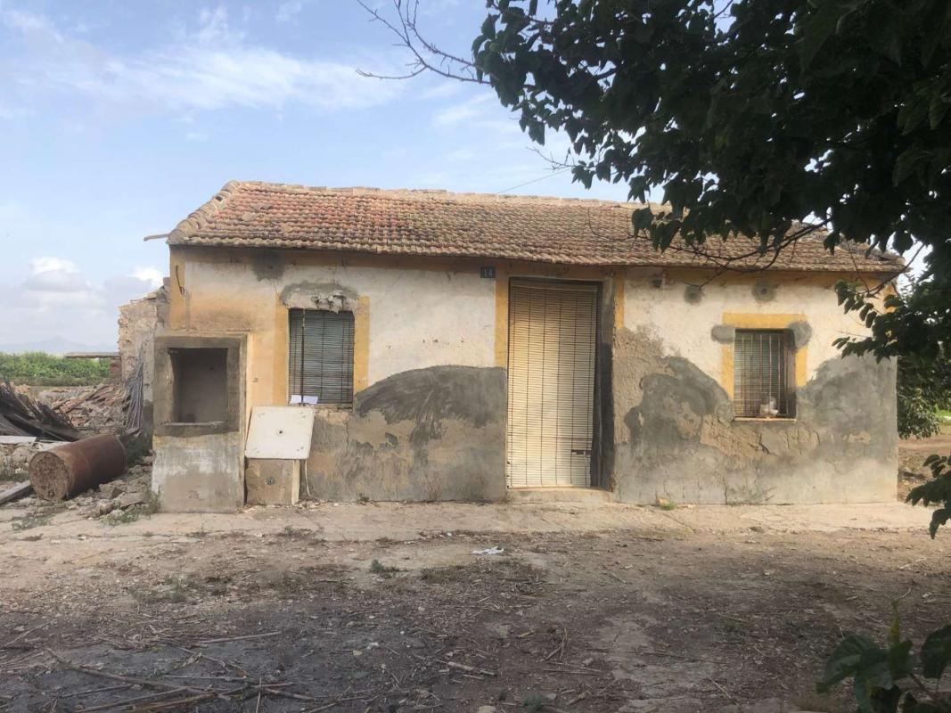 Venta de finca rústica en Finca rústica en Barrio Palmeral Muñosa, Callosa de Segura , Callosa de Segura photo 3
