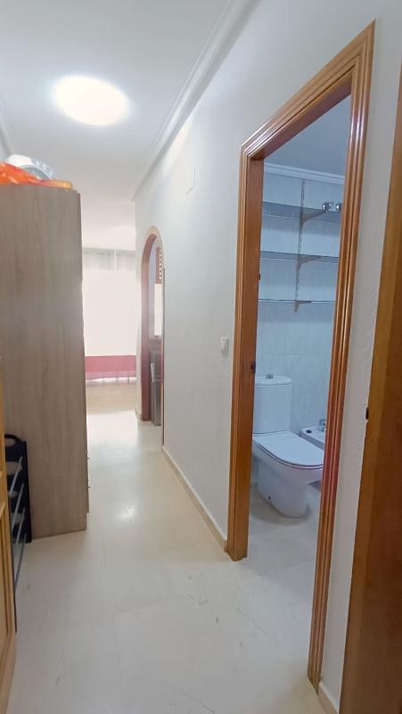 Venta de estudio en Estudio en Calle Noruega, 3, Playa de los Locos, Torrevieja, Torrevieja photo 2