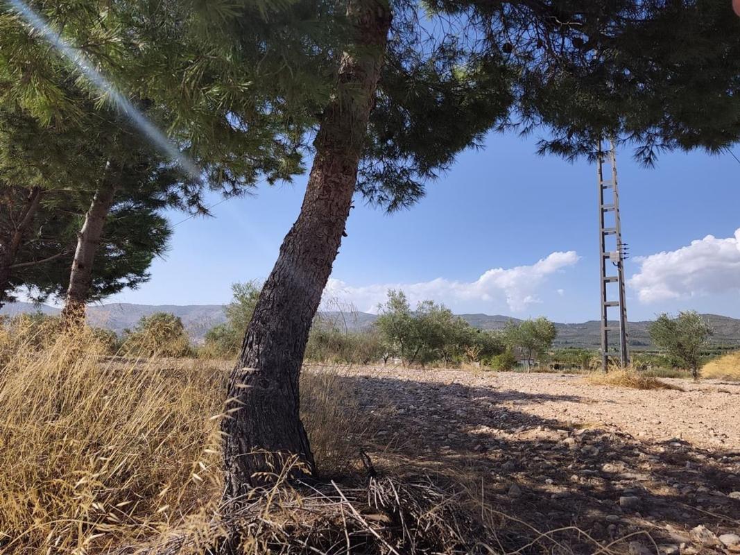 Land for sale in Castalla, Alicante photo 4