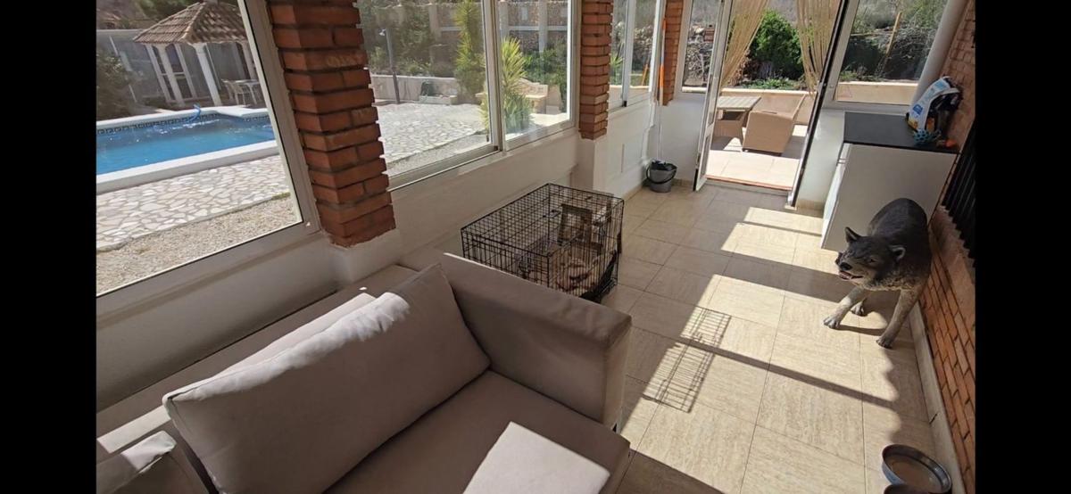 Venta de chalet independiente en Casa o chalet en Plaza Poligono 1, Sax, Sax
photo 3