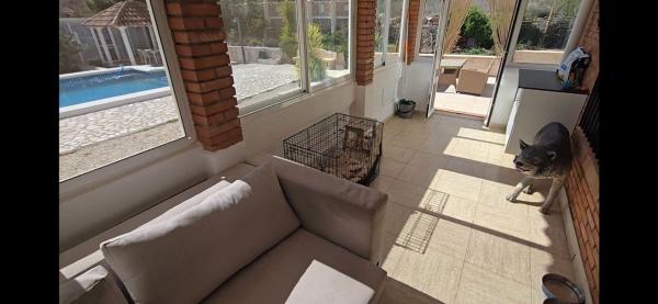Independent chalet for sale in Casa o chalet en Plaza Poligono 1, Sax, Sax
 photo 3