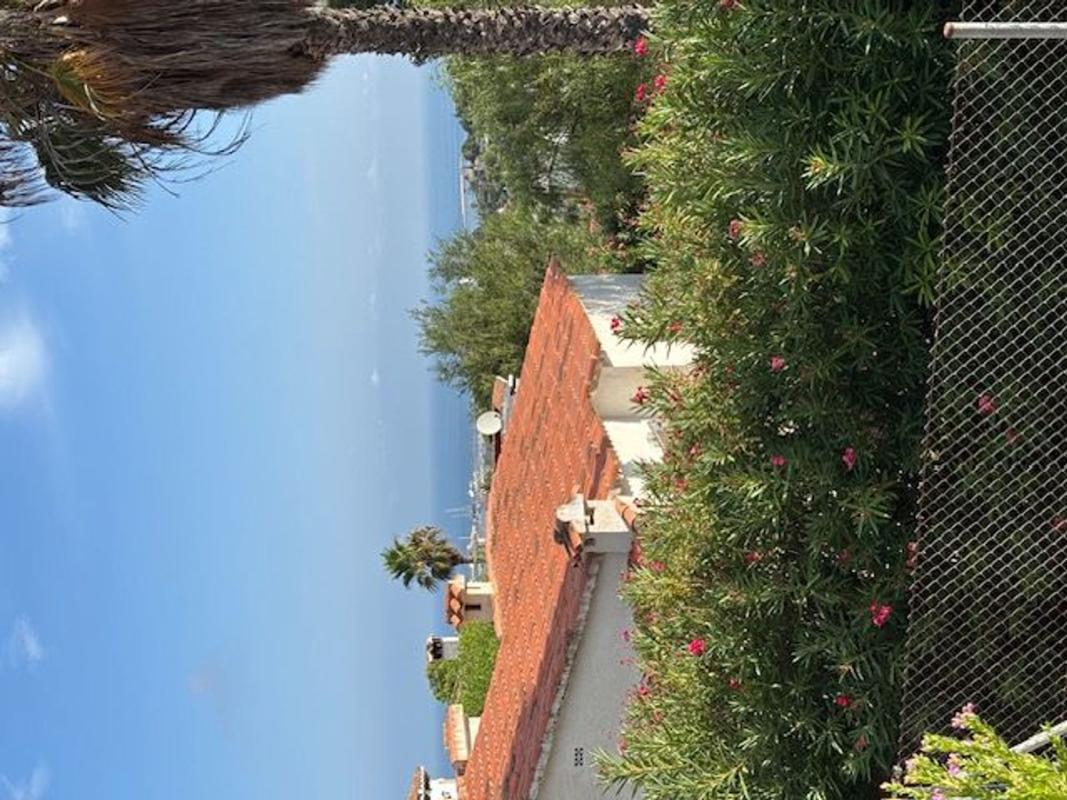 Properties for sale and rent in Spain photo 2