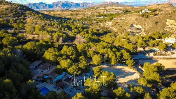 Casa o chalet independiente en Desamparados-Hurchillo-Torremendo, Orihuela thumbnail 1
