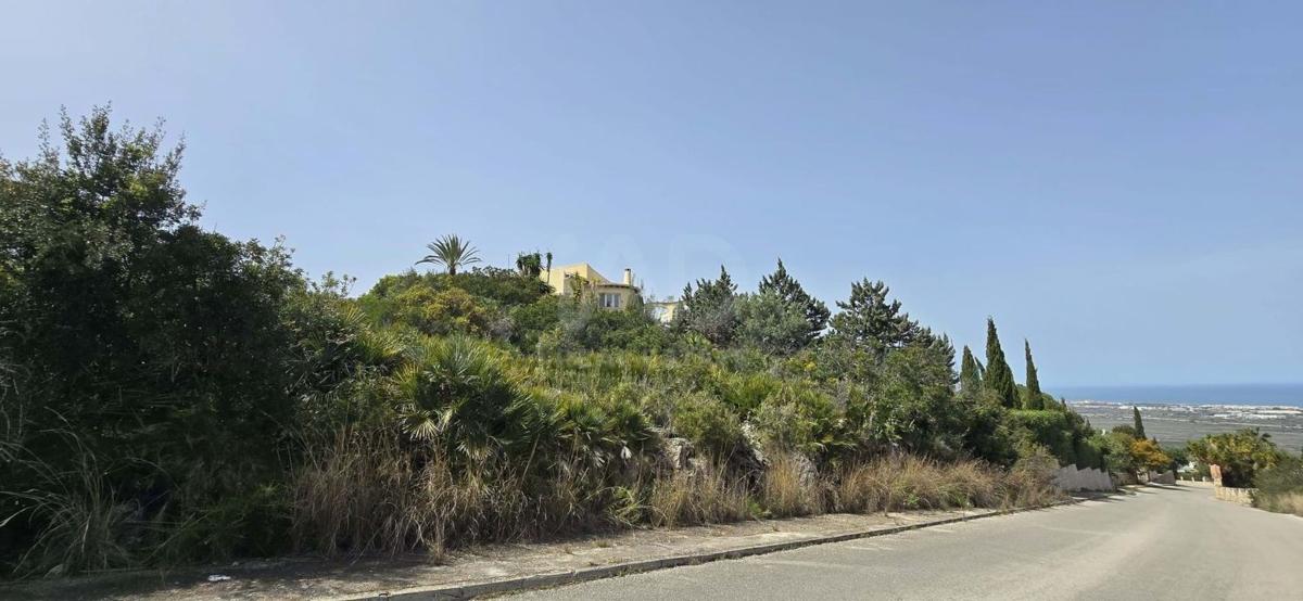 Land for sale in Denia, Alicante photo 3