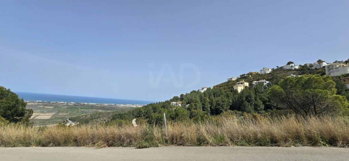 Land for sale in Denia, Alicante photo 5