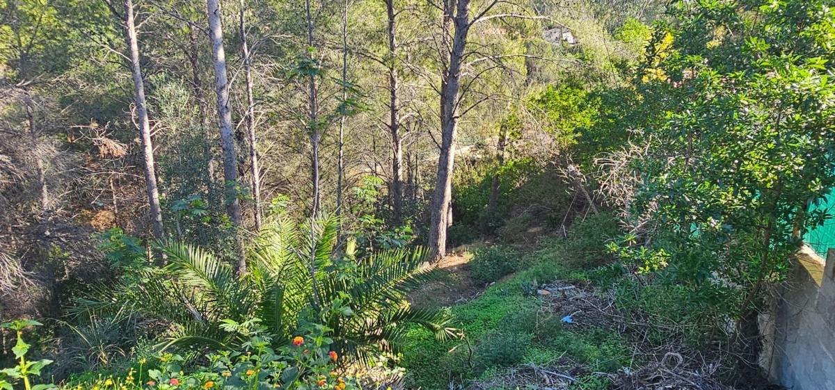Terreno en venta en Altea, Alicante photo 4