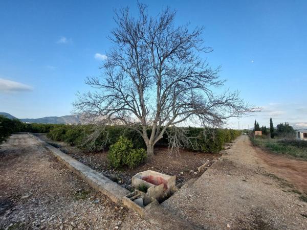 Terreno en Camino Real, Benidoleig photo 1
