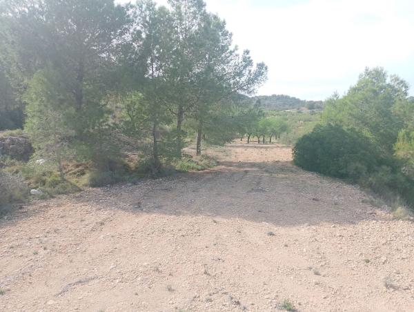 Terreno en Partida Boquera, km 2, Hondón de las Nieves thumbnail 2