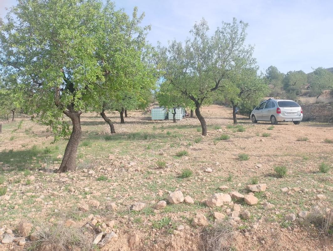 Участок земли на продажу в Хондон-де-лас-Ньевес, Аликанте photo 4