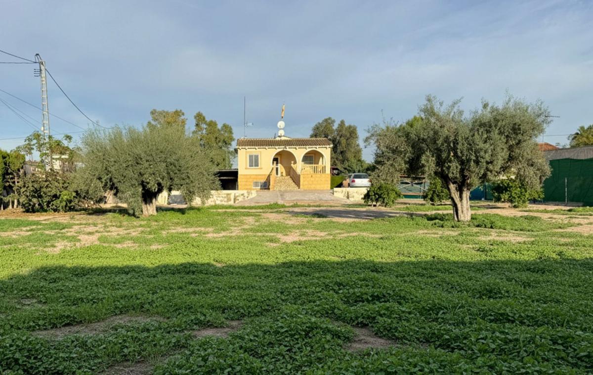 Sale of independent chalet in Barrio lo Cartagena Mo, 51, Callosa de Segura
 photo 3