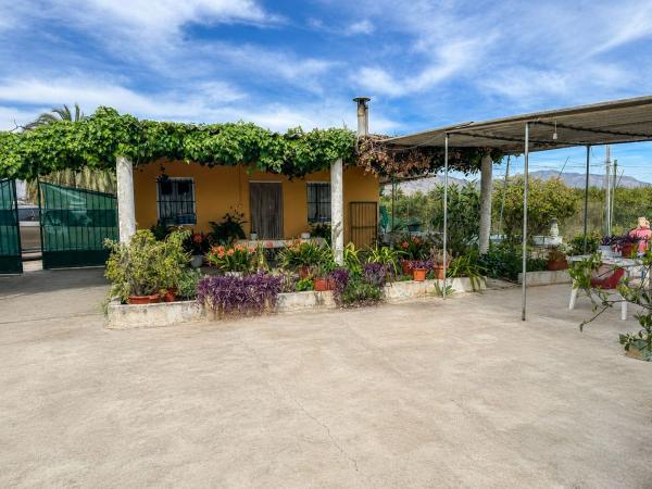 Venta de piso en Piso en Partida Dehesa la Gp. 13, Albatera, Albatera
photo 1
