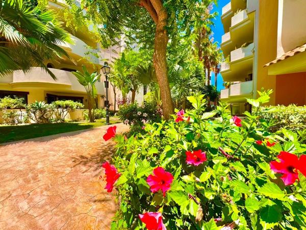 Piso en venta en  Piso en Urbanización Punta Prima, Punta Prima, Torrevieja, Torrevieja photo 2
