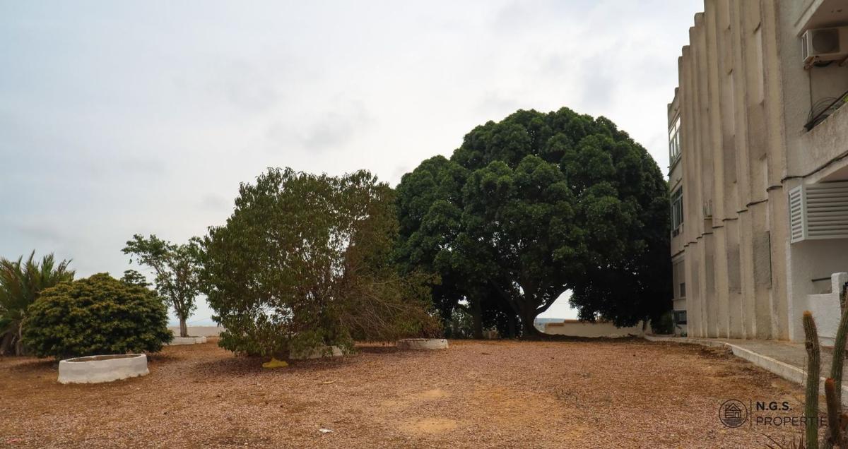 Venta de piso en Piso en Thader 2, 2, Rojales Hills - Rosa Bungalows, Rojales, Rojales
 photo 3