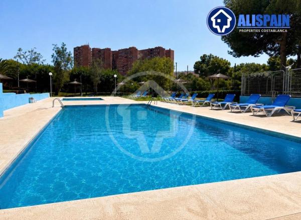 Venta de piso en Piso en Ciudad Elegida, Alicante / Alacant, Alicante / Alacant
thumbnail 2