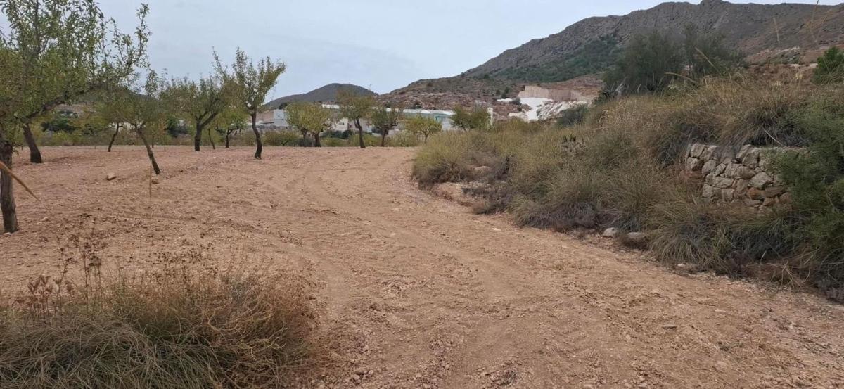 Terreno en venta en La Romana, Alicante photo 4