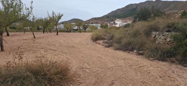 Terreno en La Romana photo 4