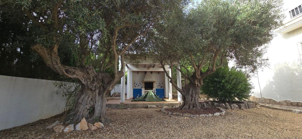Properties for sale and rent in Spain photo 5