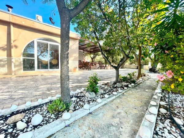Rustic farm for sale in  Finca rústica en Crevillente , Crevillente photo 4