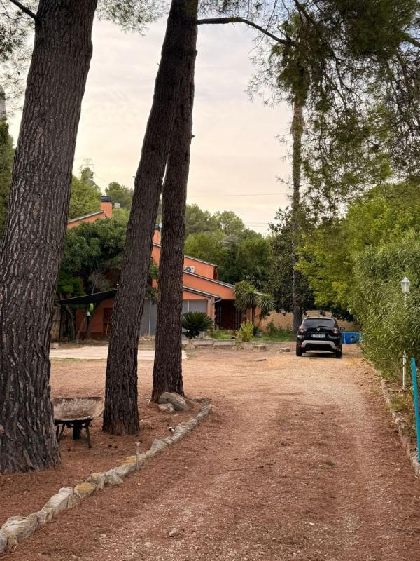 Propiedades en venta y alquiler en España photo 4