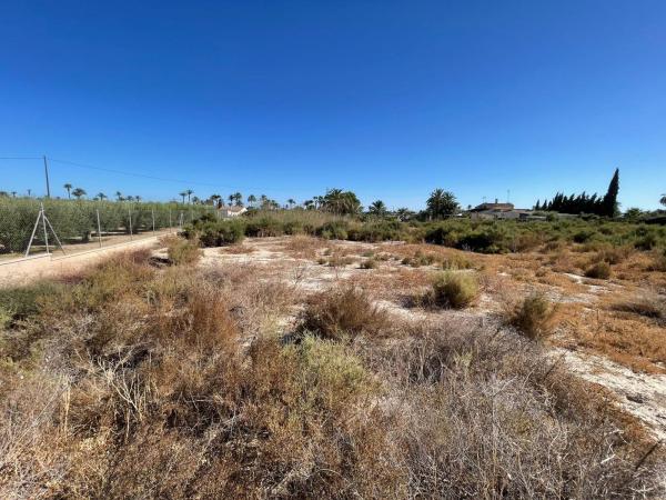 Terreno en Partida de Algoros s/n, Algoda-Matola-Llano de San José, Elche / Elx photo 4