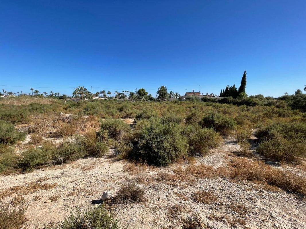 Land for sale in Elche / Elx, Alicante photo 5