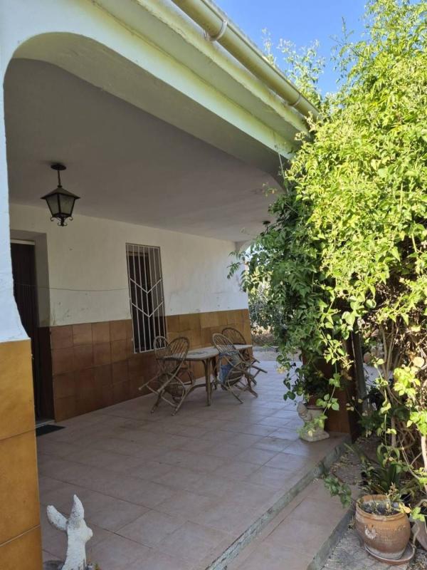 Sale of rural property in Casa rústica en Algoda-Matola-Llano de San José, Elche / Elx , Elche / Elx photo 4