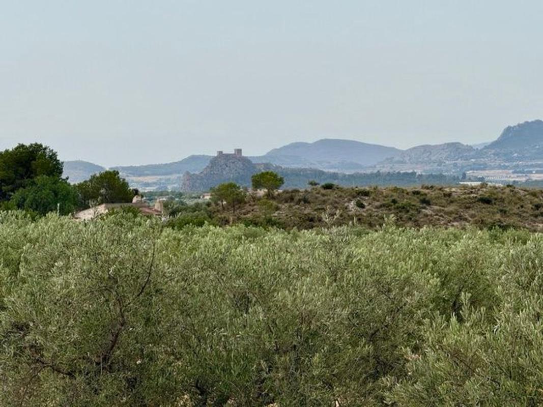 Działka na sprzedaż w Saks, Alicante photo 2