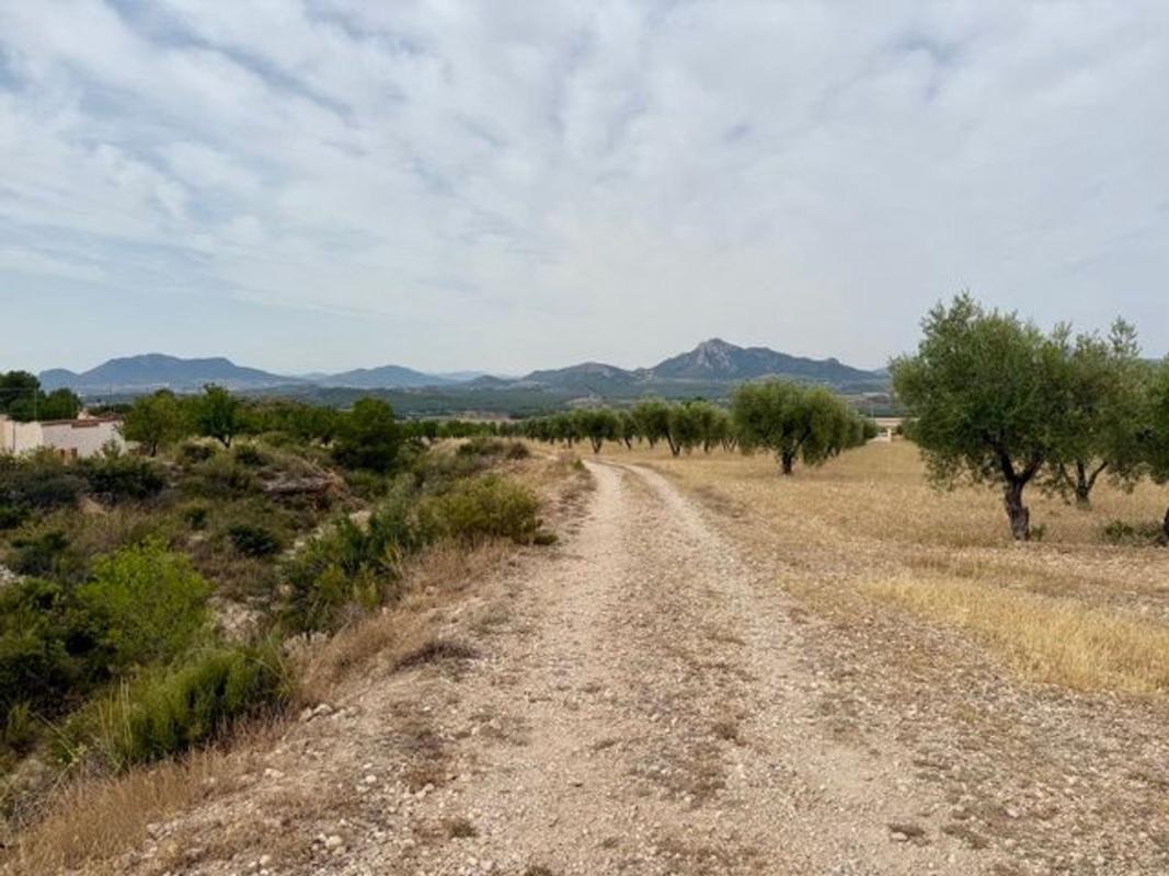 Działka na sprzedaż w Saks, Alicante photo 3