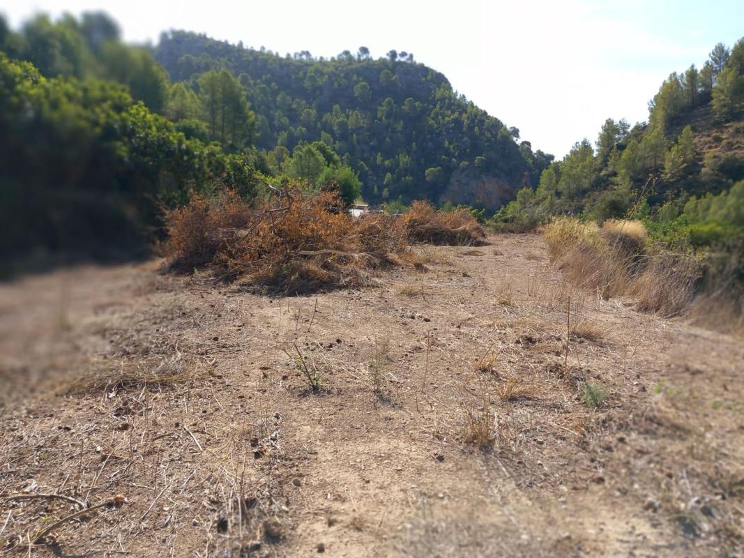 Działka na sprzedaż w Bolulla, Alicante photo 2