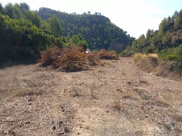 Terreno en Cv-715, Bolulla photo 2