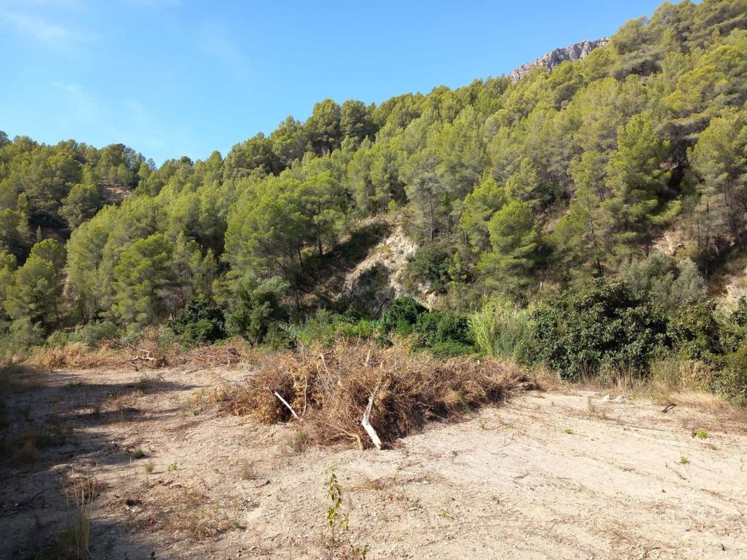 Działka na sprzedaż w Bolulla, Alicante photo 4