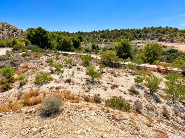 Terreno en Calle de LleÓ, Balcón de Finestrat-Terra Marina, Finestrat photo 4