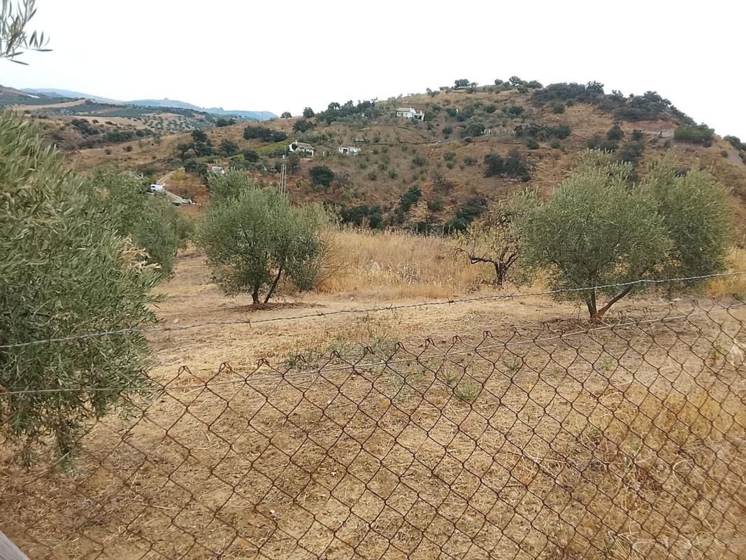 Venta de finca rústica en Finca rústica en Calle Emilio Prados, 2, Colmenar , Colmenar photo 5