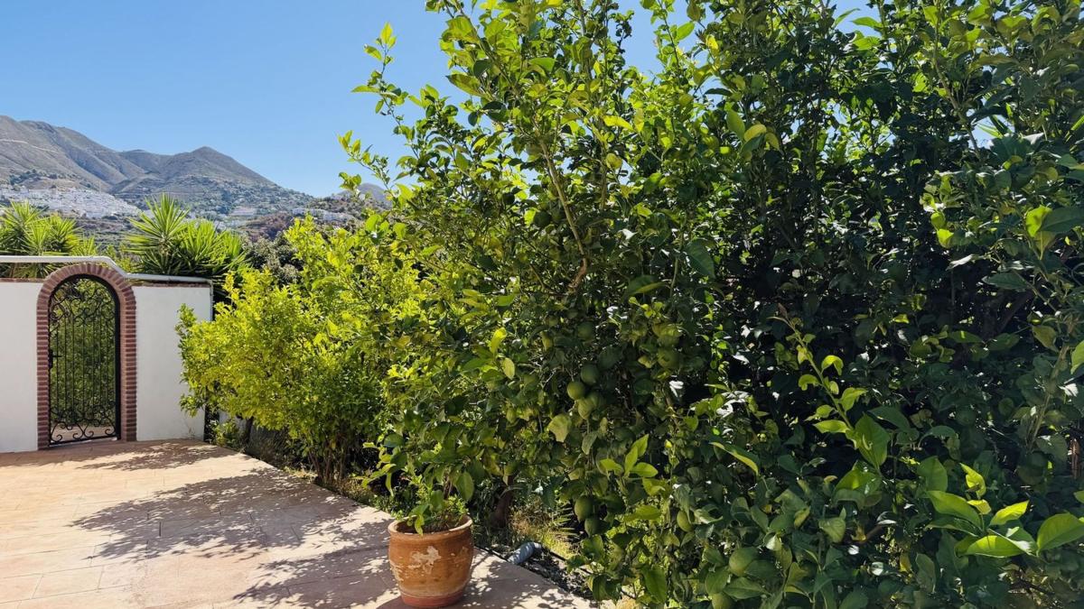Propiedades en venta y alquiler en España photo 5