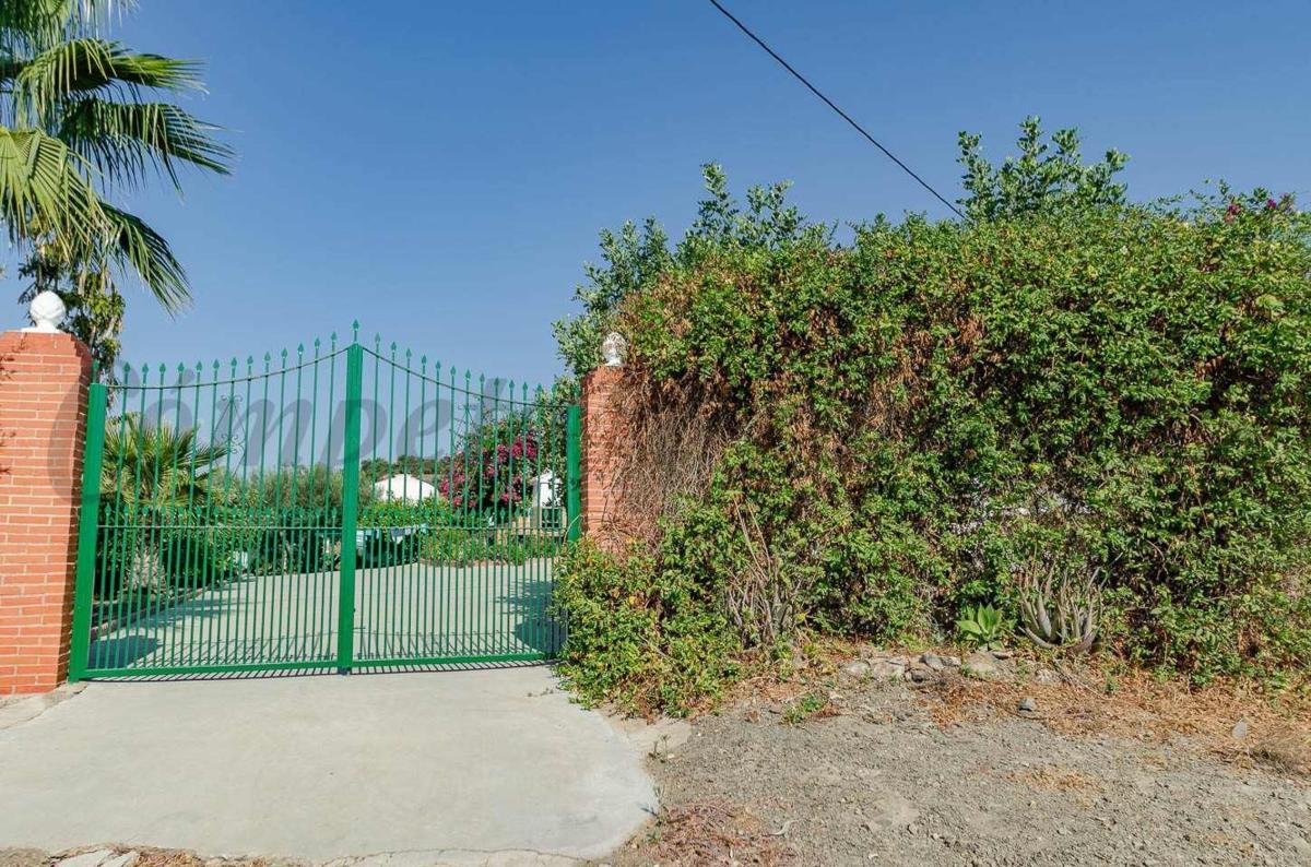 Sale of rural property in Finca rústica en Cajiz, Vélez-Malaga , Vélez-Málaga photo 3
