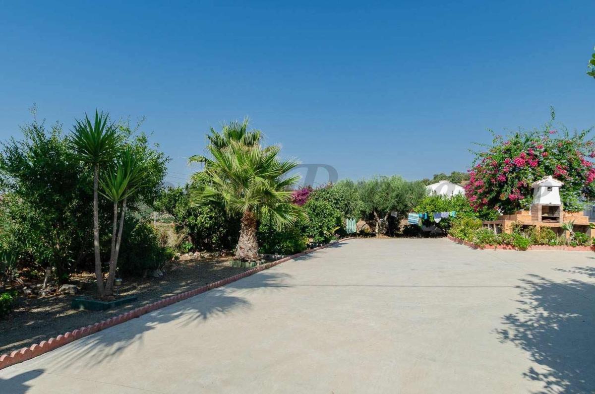 Sale of rural property in Finca rústica en Cajiz, Vélez-Malaga , Vélez-Málaga photo 4