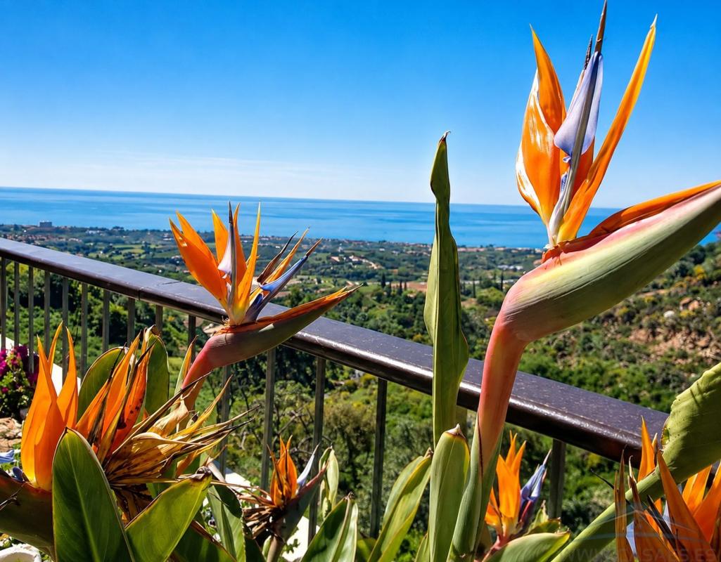 Venta de piso en Piso en Alto de los Monteros, Marbella, Marbella
 photo 5