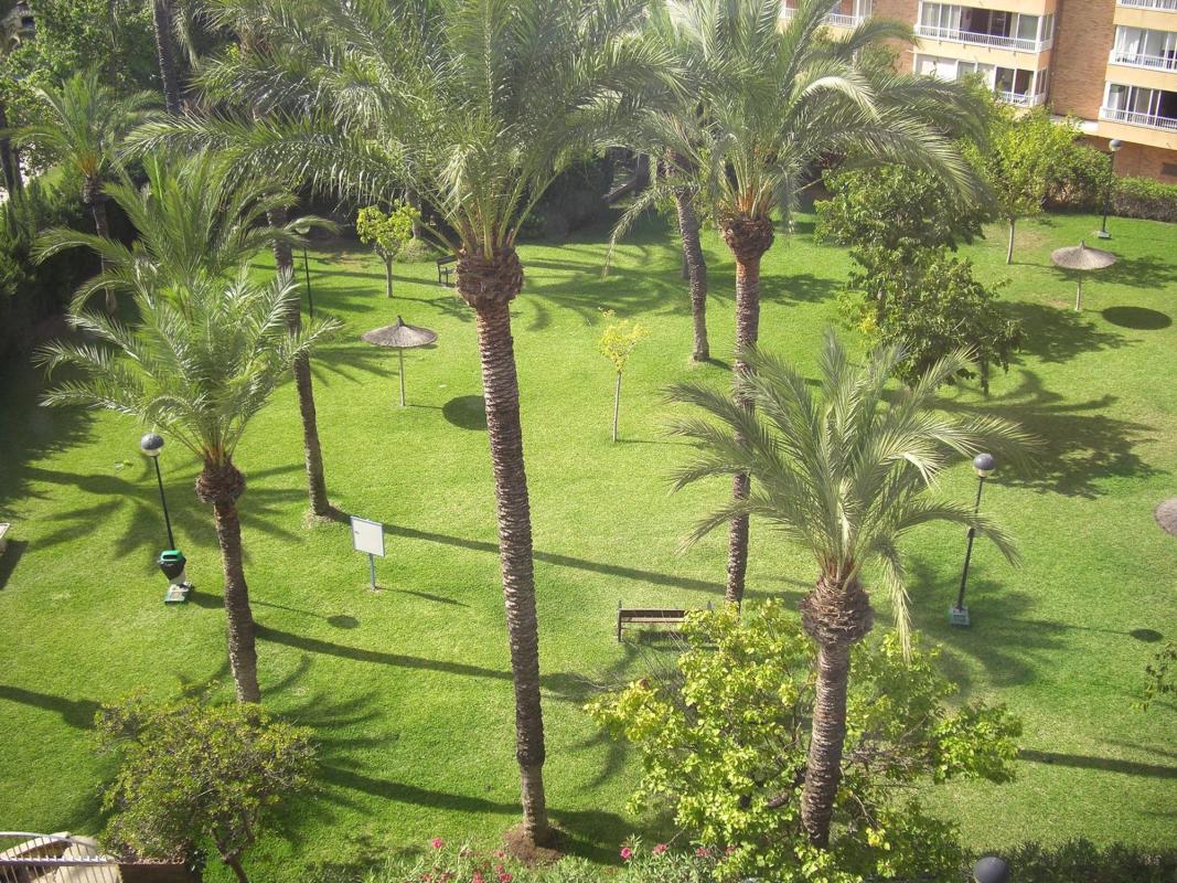 Sprzedaż mieszkania w Piso en Calle Elda, Playa Muchavista, El Campello, El Campello
photo 4