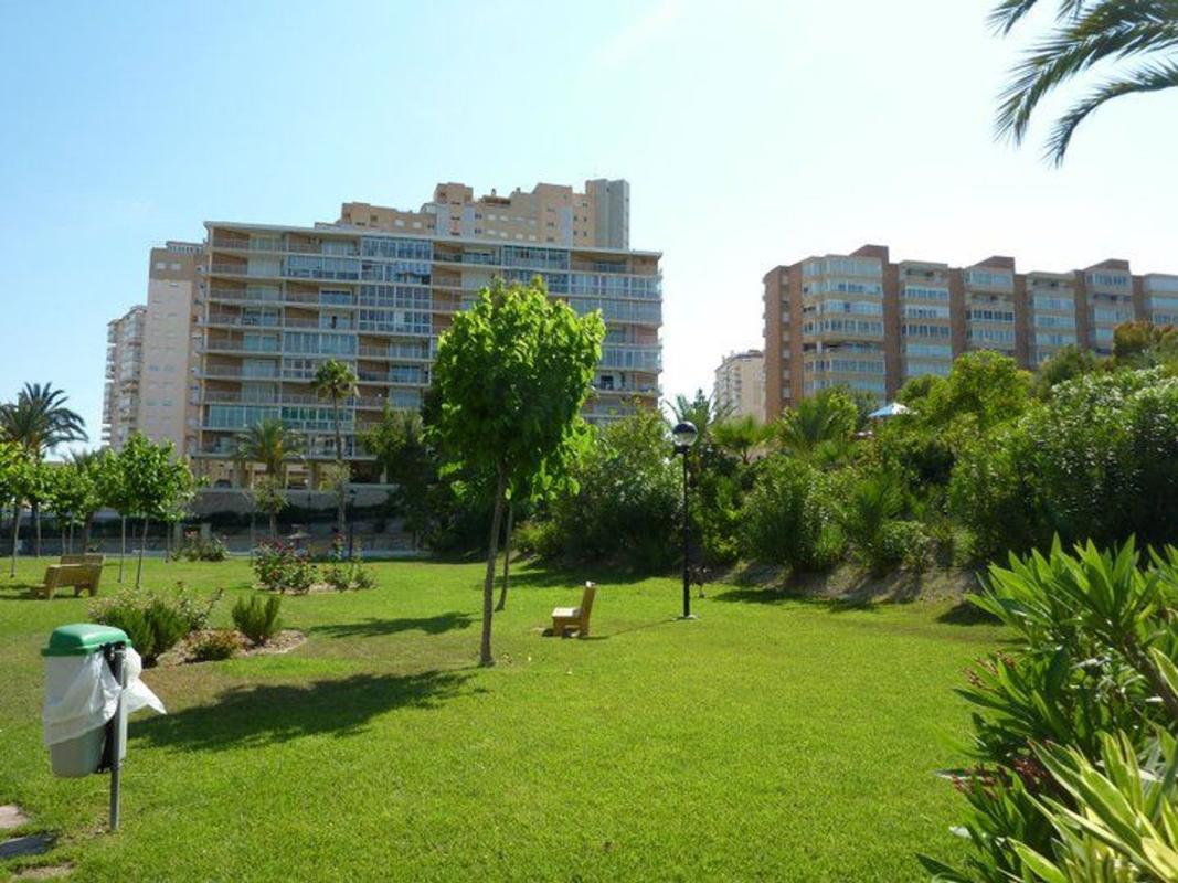 Sprzedaż mieszkania w Piso en Calle Elda, Playa Muchavista, El Campello, El Campello
photo 5