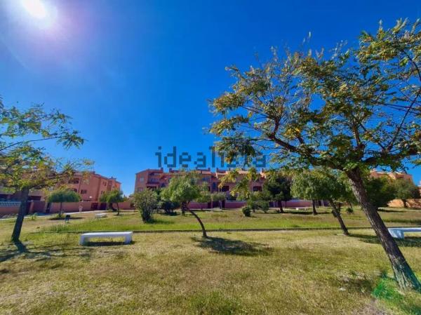 Venta de piso en Piso en Avenida Tenerife, 1, Aguas Nuevas, Torrevieja, Torrevieja
 photo 3