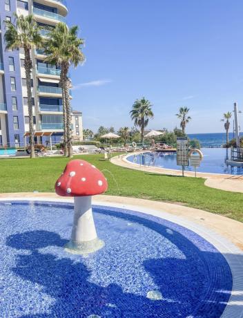 Mansarda na sprzedaż w Ático en Calle Mar Llana, 2, Punta Prima, Torrevieja, Torrevieja thumbnail 2