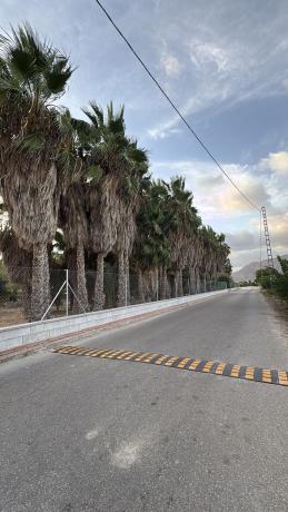 Terreno en Vereda Don Faustino, 39, Molins-Campaneta-San Bartolomé, Orihuela photo 1