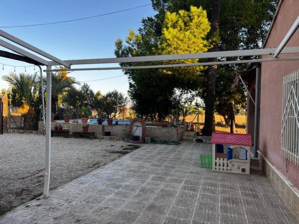 Finca rústica en venta en  Algoda-Matola-Llano de San José , Elche / Elx photo 4