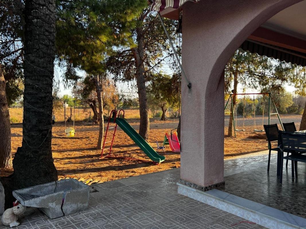 Sale of rural property in Algoda-Matola-San José Plain , Elche / Elx photo 5